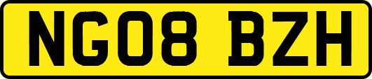 NG08BZH