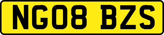 NG08BZS