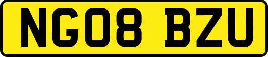 NG08BZU