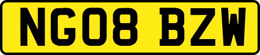 NG08BZW