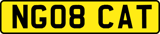 NG08CAT