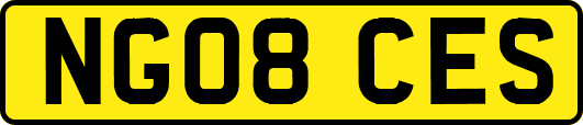 NG08CES