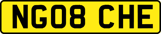 NG08CHE