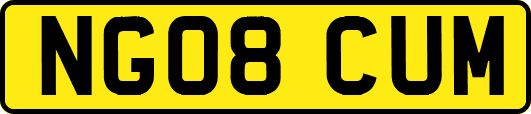 NG08CUM