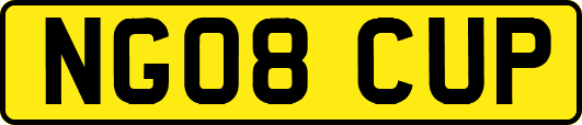 NG08CUP