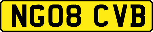 NG08CVB