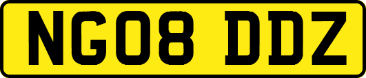 NG08DDZ