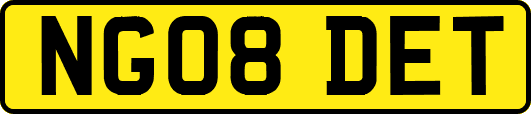 NG08DET