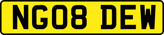 NG08DEW