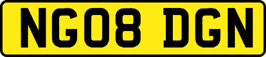 NG08DGN