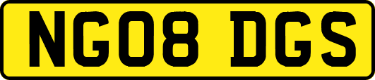 NG08DGS