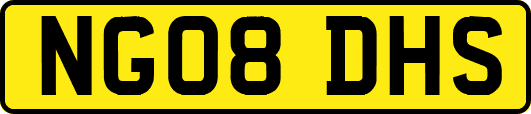 NG08DHS
