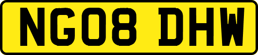 NG08DHW