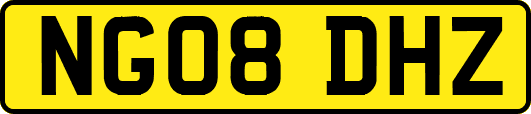 NG08DHZ