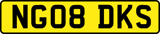 NG08DKS