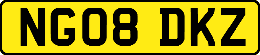 NG08DKZ