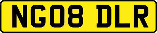 NG08DLR