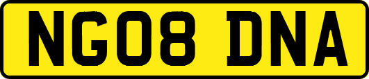 NG08DNA