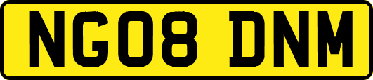 NG08DNM