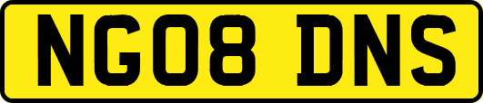 NG08DNS