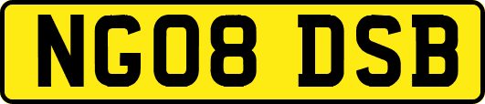 NG08DSB