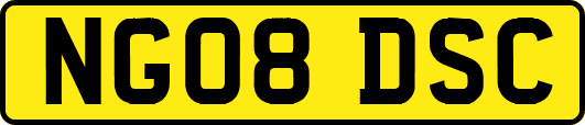 NG08DSC