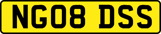 NG08DSS
