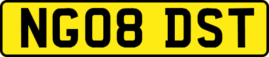 NG08DST
