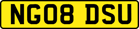 NG08DSU