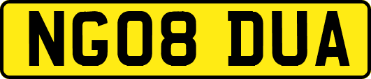 NG08DUA