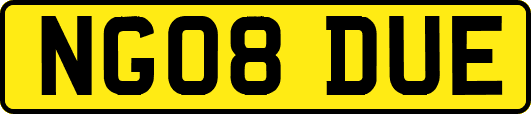 NG08DUE
