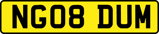 NG08DUM