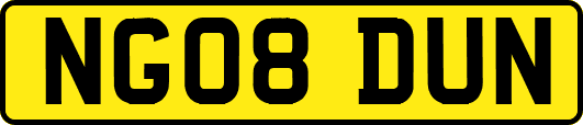 NG08DUN