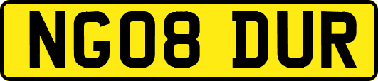NG08DUR