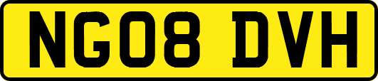 NG08DVH