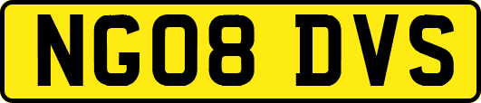 NG08DVS
