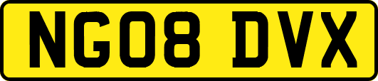NG08DVX