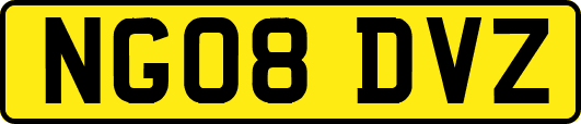 NG08DVZ