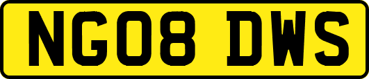 NG08DWS