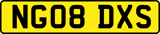 NG08DXS