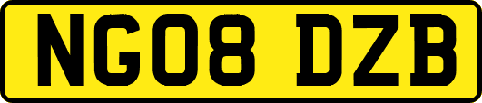 NG08DZB