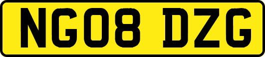 NG08DZG