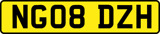 NG08DZH