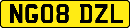 NG08DZL