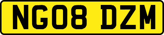 NG08DZM