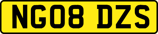 NG08DZS