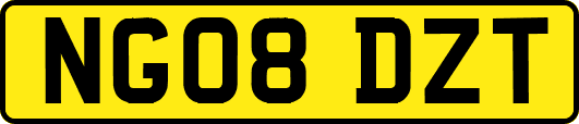 NG08DZT