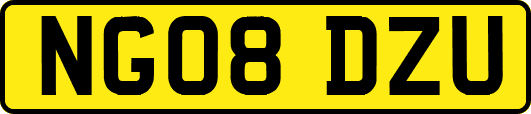 NG08DZU