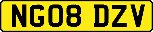 NG08DZV