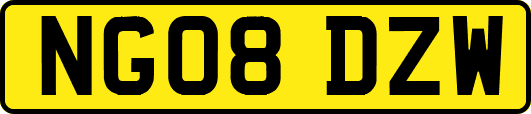 NG08DZW